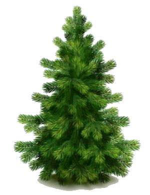 bor